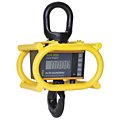 Crane Scales and Dynamometers image